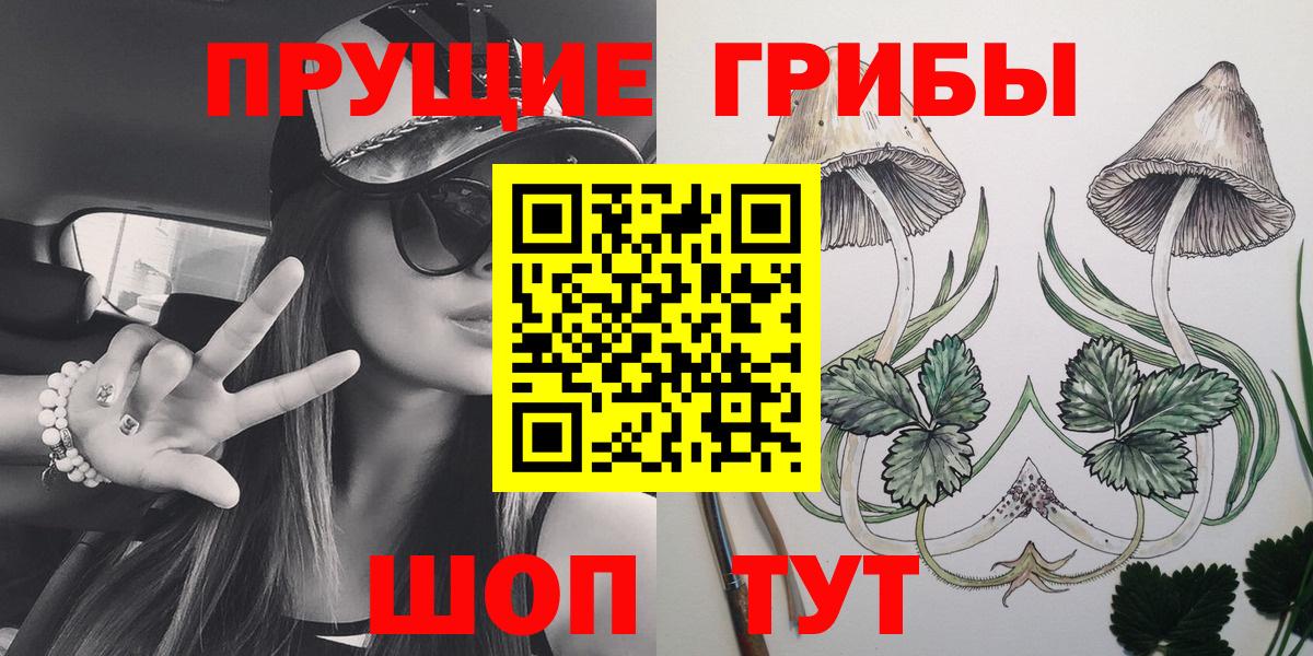 Галлюциногенные грибы Cubensis Богородск
