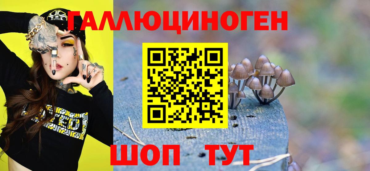 Псилоцибиновые грибы мицелий  Псилоцибиновые грибы Psilocybe  Вход с VPN  Богородск 